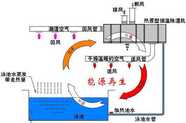 泳池水處理設(shè)備之恒溫水池